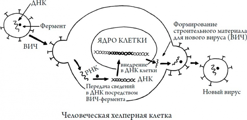 Иллюстрация к книге — Человек Противный [i_112.jpg]