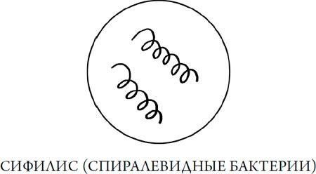 Иллюстрация к книге — Человек Противный [i_125.jpg]
