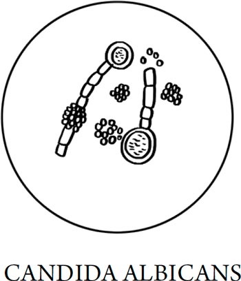 Иллюстрация к книге — Человек Противный [i_129.jpg]
