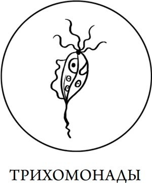 Иллюстрация к книге — Человек Противный [i_131.jpg]