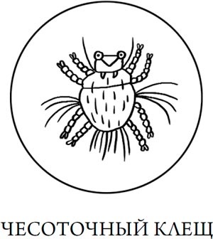 Иллюстрация к книге — Человек Противный [i_132.jpg]