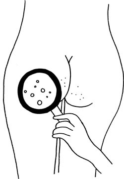 Иллюстрация к книге — Человек Противный [i_205.jpg]