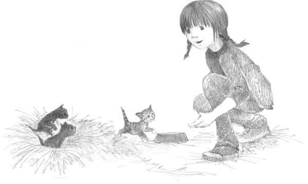 Иллюстрация к книге — Котенок Сэмми, или Семья для крохи [block_00114466.jpg]