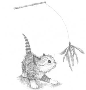 Иллюстрация к книге — Котенок Сэмми, или Семья для крохи [block_0011447.jpg_7.jpg]