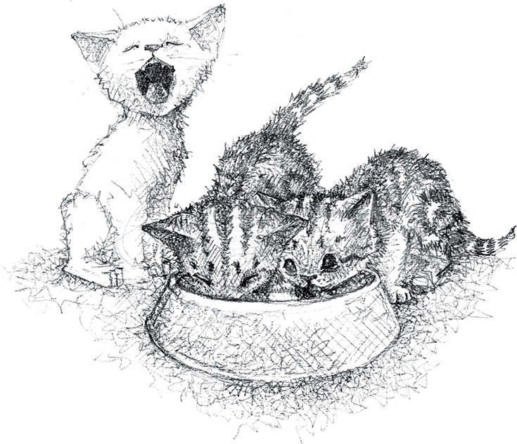 Иллюстрация к книге — Котёнок Роззи, или Острый нюх [i_009.jpg]