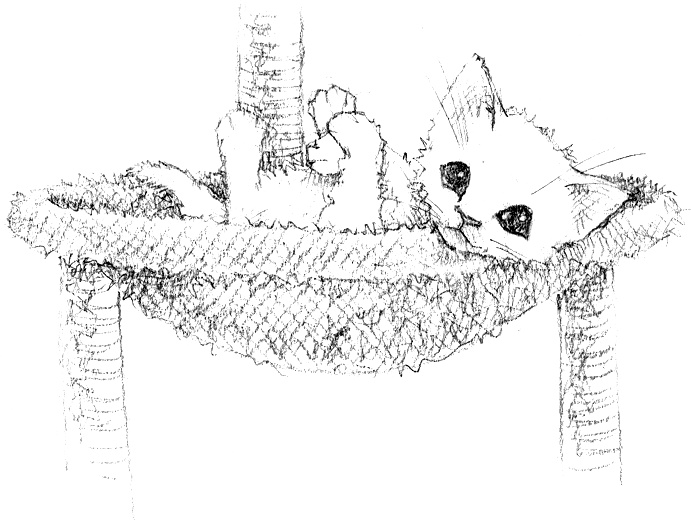 Иллюстрация к книге — Котёнок Роззи, или Острый нюх [i_010.jpg]