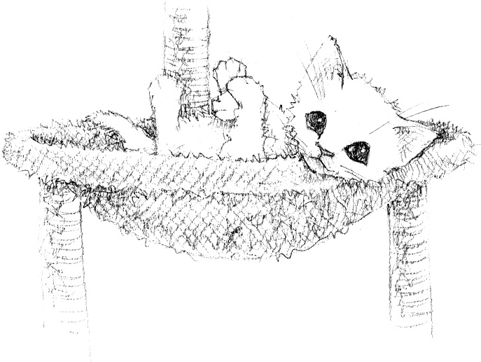 Иллюстрация к книге — Котёнок Роззи, или Острый нюх [i_014.jpg]