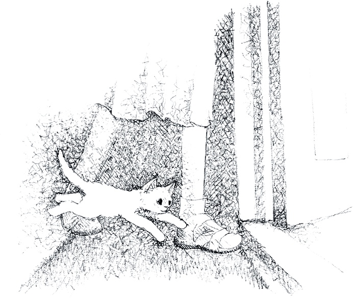 Иллюстрация к книге — Котёнок Роззи, или Острый нюх [i_019.jpg]