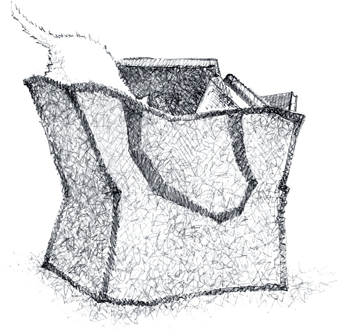 Иллюстрация к книге — Котёнок Роззи, или Острый нюх [i_022.jpg]