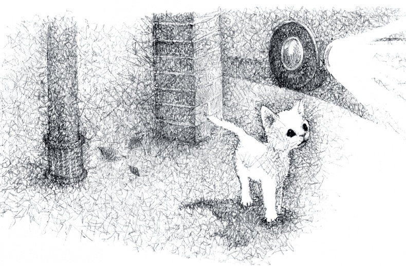 Иллюстрация к книге — Котёнок Роззи, или Острый нюх [i_030.jpg]