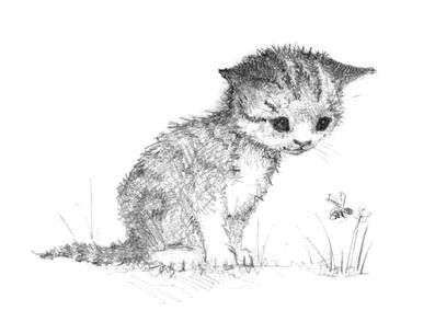 Иллюстрация к книге — Котёнок Чарли, или Хвостатый бродяга [i_001.jpg]