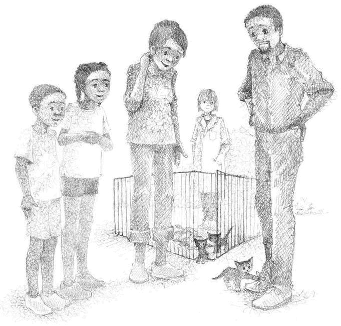 Иллюстрация к книге — Котёнок Чарли, или Хвостатый бродяга [i_004.jpg]