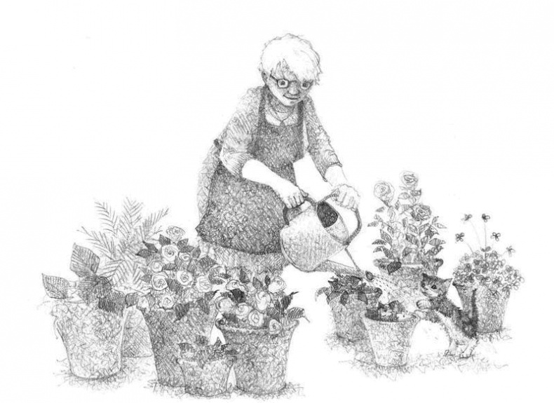 Иллюстрация к книге — Котёнок Чарли, или Хвостатый бродяга [i_017.jpg]