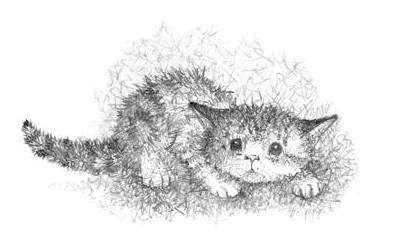 Иллюстрация к книге — Котёнок Чарли, или Хвостатый бродяга [i_030.jpg]