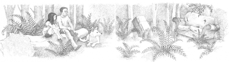 Иллюстрация к книге — Котёнок Стенли, или Настоящий клад [block_00114440.jpg]