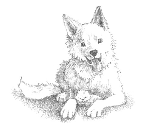 Иллюстрация к книге — Котёнок Стенли, или Настоящий клад [block_00114473.jpg]