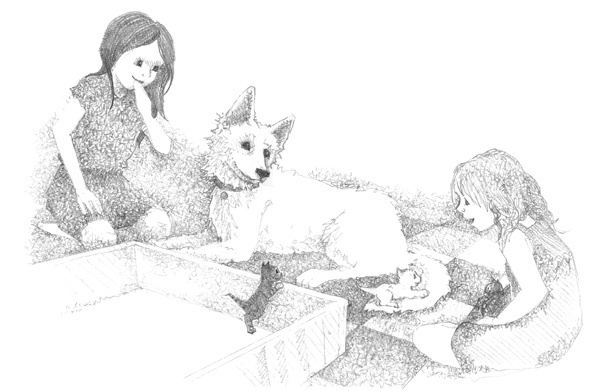 Иллюстрация к книге — Котёнок Стенли, или Настоящий клад [block_00114489.jpg]