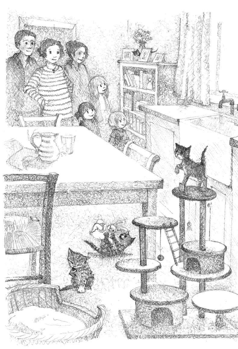 Иллюстрация к книге — Котёнок Тигр, или Искатель приключений [i_006.jpg]