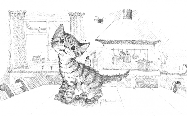 Иллюстрация к книге — Котёнок Тигр, или Искатель приключений [i_009.jpg]