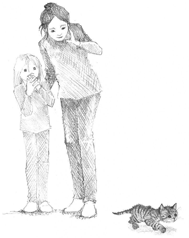 Иллюстрация к книге — Котёнок Тигр, или Искатель приключений [i_012.jpg]