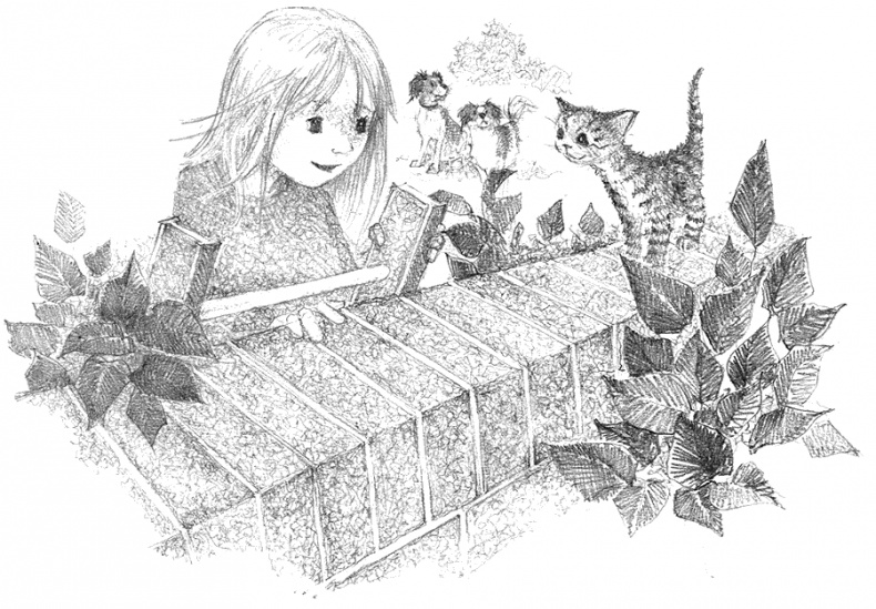 Иллюстрация к книге — Котёнок Тигр, или Искатель приключений [i_030.jpg]