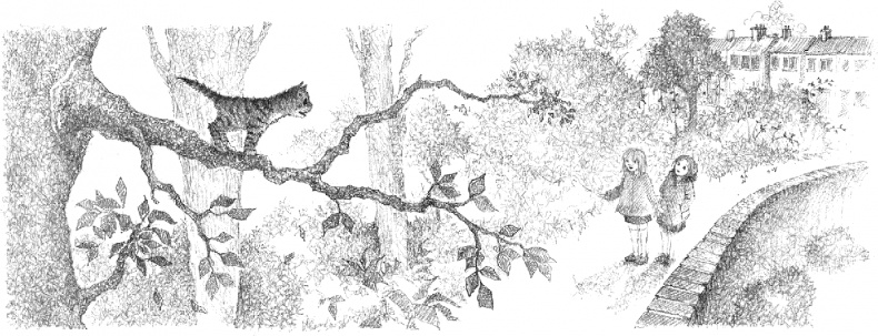 Иллюстрация к книге — Котёнок Тигр, или Искатель приключений [i_045.jpg]