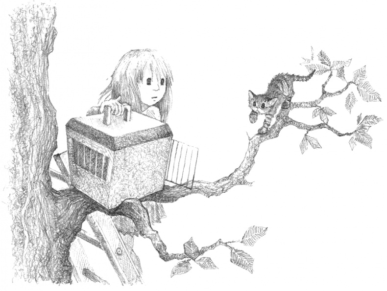 Иллюстрация к книге — Котёнок Тигр, или Искатель приключений [i_051.jpg]