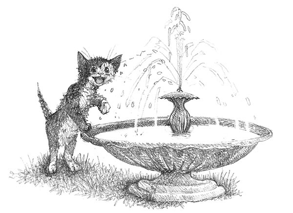 Иллюстрация к книге — Котёнок Клео, или Путешествие непоседы [i_022.jpg]