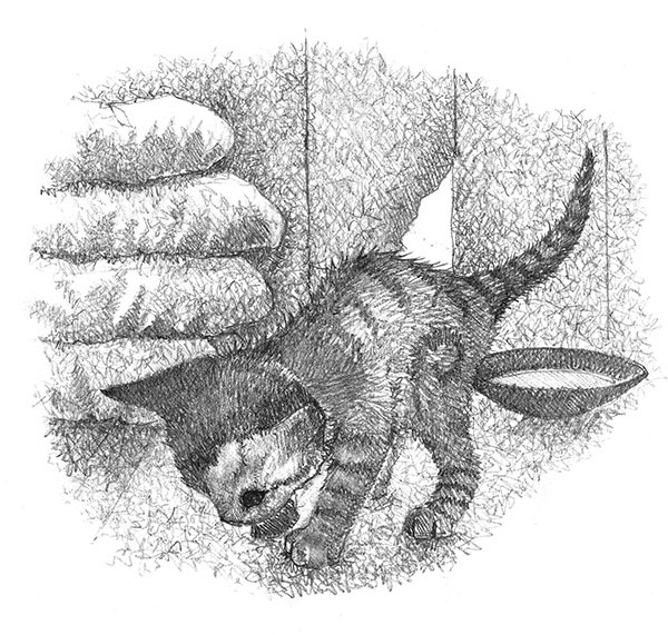 Иллюстрация к книге — Котёнок Клео, или Путешествие непоседы [i_029.jpg]