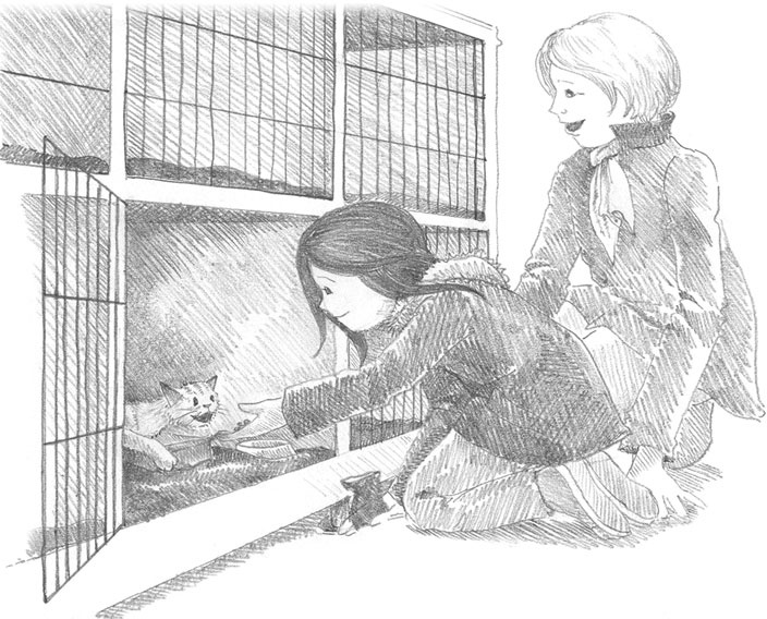 Иллюстрация к книге — Котёнок Сильвер, или Полосатый храбрец [_12.jpg]