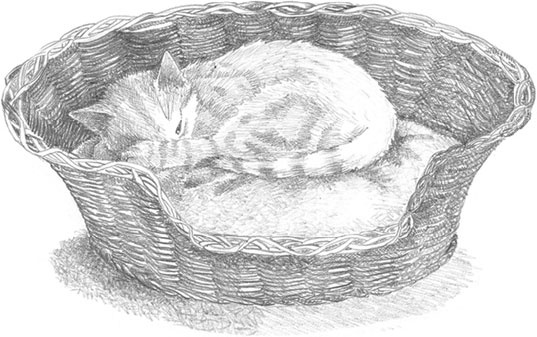 Иллюстрация к книге — Котёнок Сильвер, или Полосатый храбрец [_28.jpg]