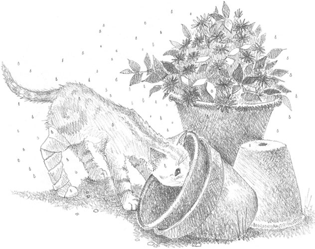 Иллюстрация к книге — Котёнок Сильвер, или Полосатый храбрец [_31.jpg]