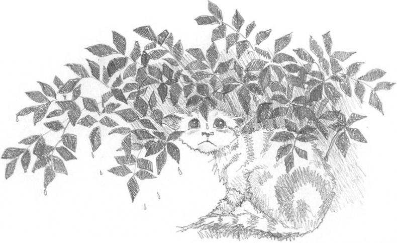 Иллюстрация к книге — Котёнок Сильвер, или Полосатый храбрец [_33.jpg]