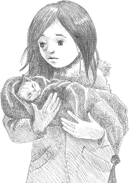 Иллюстрация к книге — Котёнок Сильвер, или Полосатый храбрец [_4.jpg]