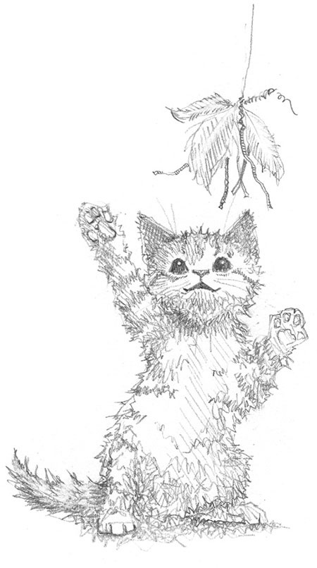 Иллюстрация к книге — Котёнок Веснушка, или Как научиться помогать [i_001.jpg]