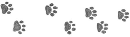 Иллюстрация к книге — Котёнок Веснушка, или Как научиться помогать [i_005.jpg]