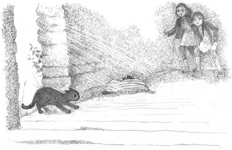 Иллюстрация к книге — Котёнок Веснушка, или Как научиться помогать [i_029.jpg]