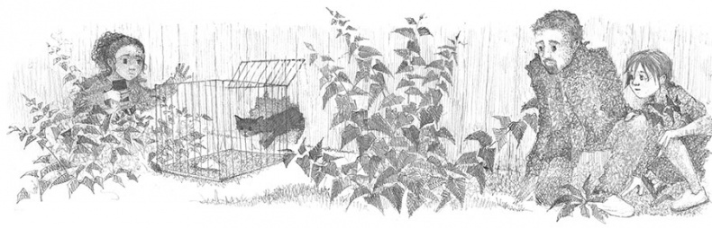 Иллюстрация к книге — Котёнок Веснушка, или Как научиться помогать [i_035.jpg]