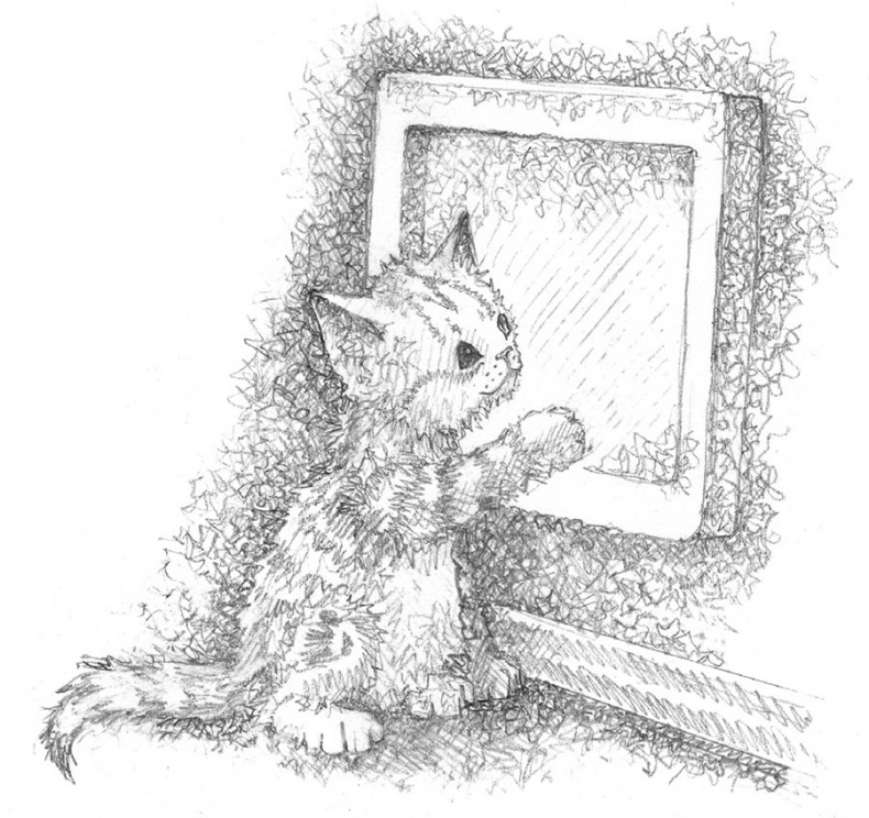 Иллюстрация к книге — Котёнок Веснушка, или Как научиться помогать [i_039.jpg]