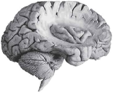 Иллюстрация к книге — Красная таблетка-2. Вся правда об успехе [i_009.jpg]