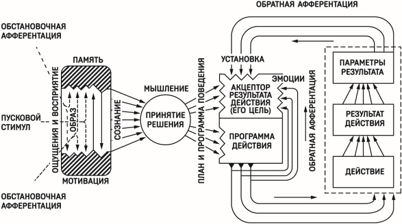 Иллюстрация к книге — Красная таблетка-2. Вся правда об успехе [i_011.jpg]