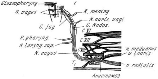 Иллюстрация к книге — Красная таблетка-2. Вся правда об успехе [i_012.jpg]