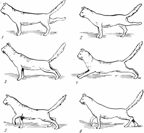 Иллюстрация к книге — Красная таблетка-2. Вся правда об успехе [i_013.jpg]