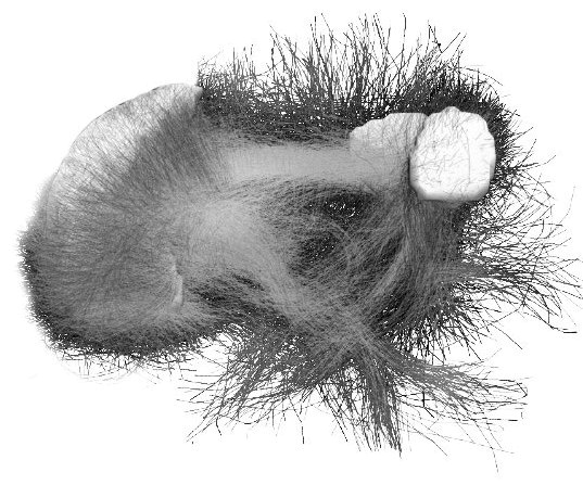 Иллюстрация к книге — Троица. Будь больше самого себя [i_007.jpg]