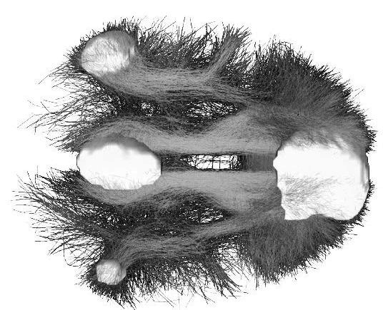 Иллюстрация к книге — Троица. Будь больше самого себя [i_009.jpg]