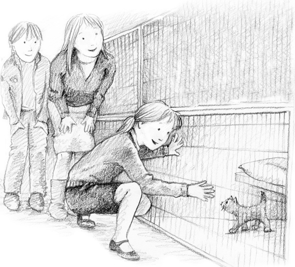 Иллюстрация к книге — Котенок Одуванчик, или Игра в прятки [block_00114432.jpg]