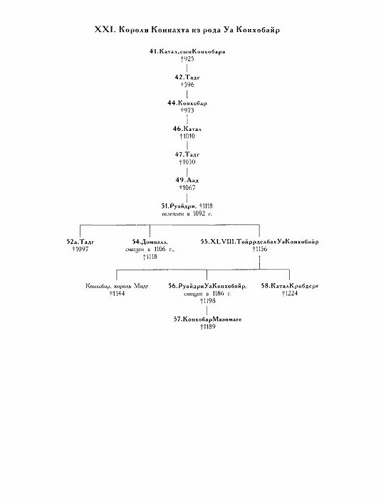 Иллюстрация к книге — Короли и верховные правители Ирландии [i_031.jpg]