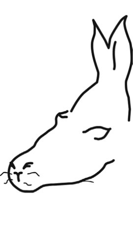 Иллюстрация к книге — Наука мудрости [image11.jpg]