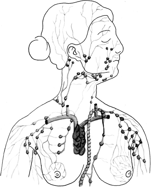 Иллюстрация к книге — Кожа: орган, в котором я живу [i_002.jpg]