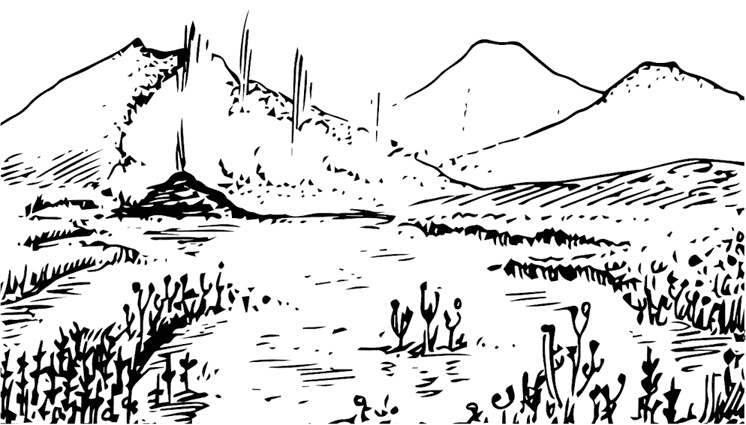 Иллюстрация к книге — Палеонтология антрополога. Книга 1. Докембрий и палеозой [i_045.jpg]